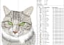 embroidery digitizing expert dst pes jef exp for all machines